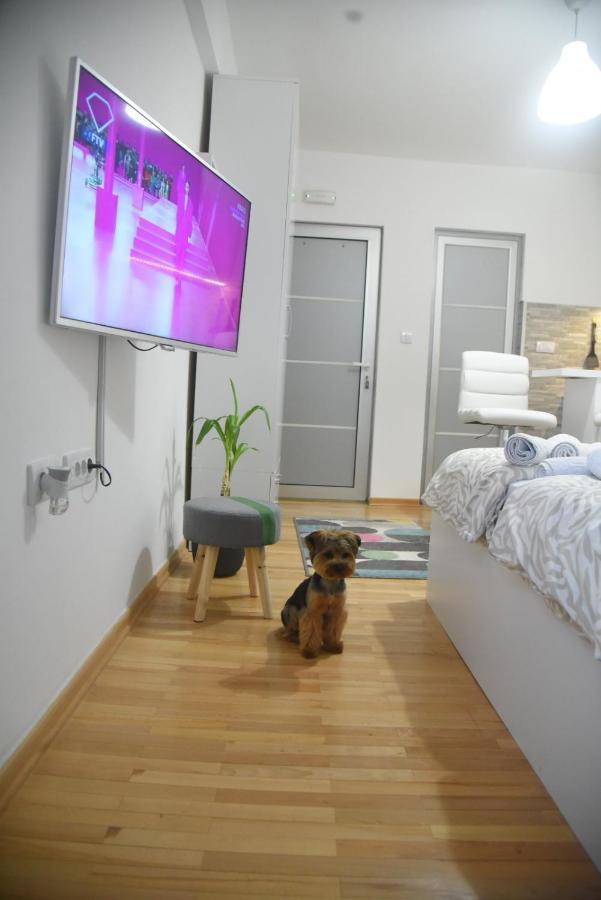 Dekart 2 Apartment Ni المظهر الخارجي الصورة